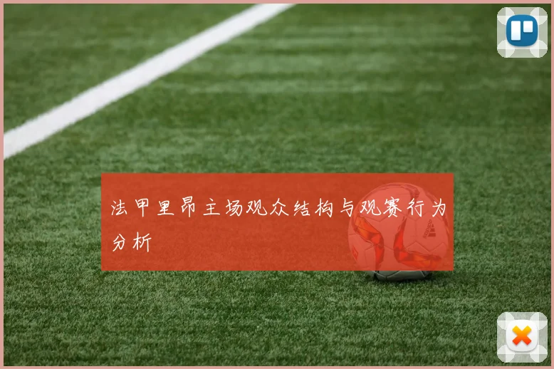 法甲里昂主场观众结构与观赛行为分析