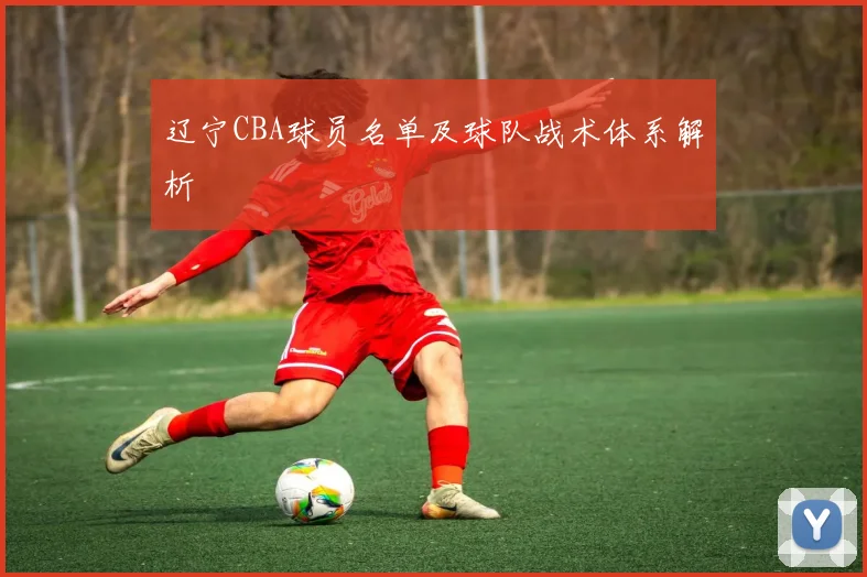 辽宁CBA球员名单及球队战术体系解析