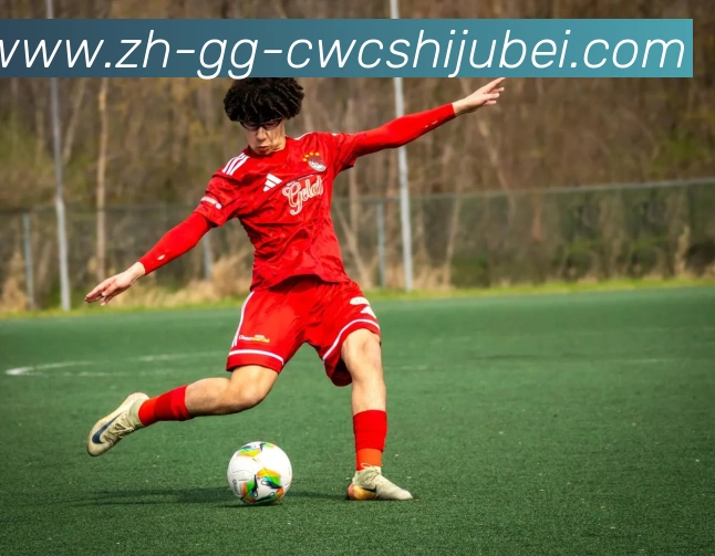 世界杯买球平台生态图