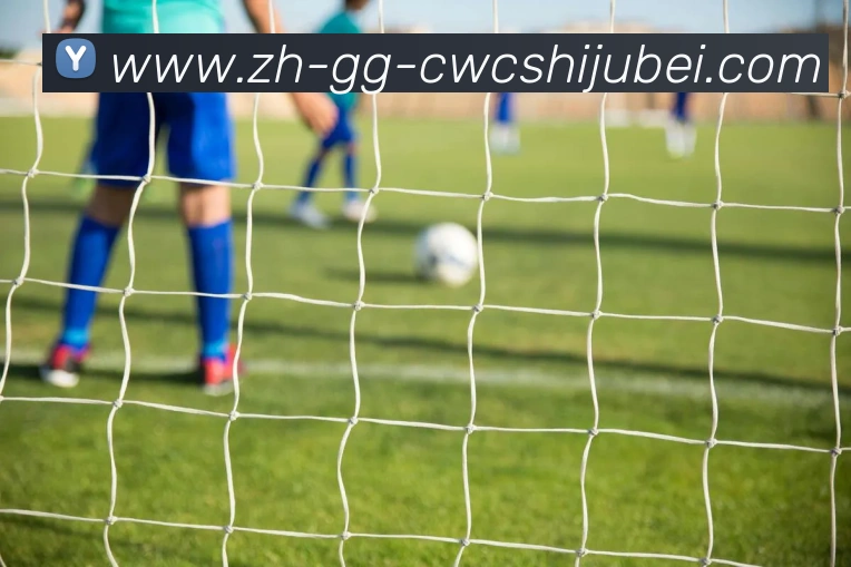 世界杯买球APP 封面图