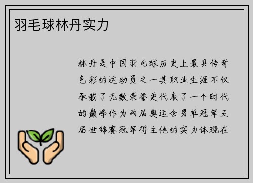 羽毛球林丹实力