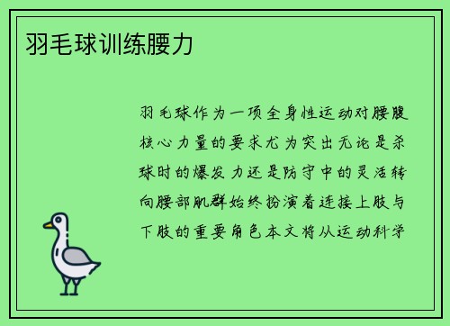 羽毛球训练腰力